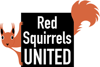 Red Squirrels United